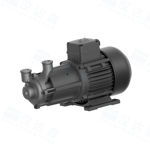��&nbsp;BRINKMANN PUMPS&nbsp;�x�ı�&nbsp;BMK
